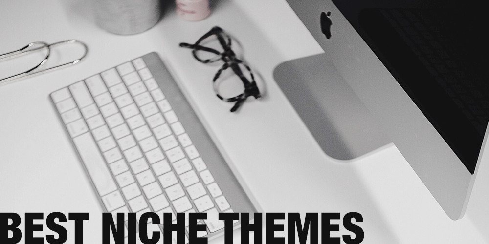 10+ Best Professional Niche WordPress Themes
