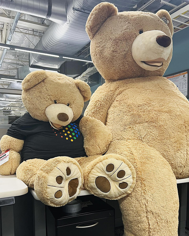 Stuffed Bears At Google Office