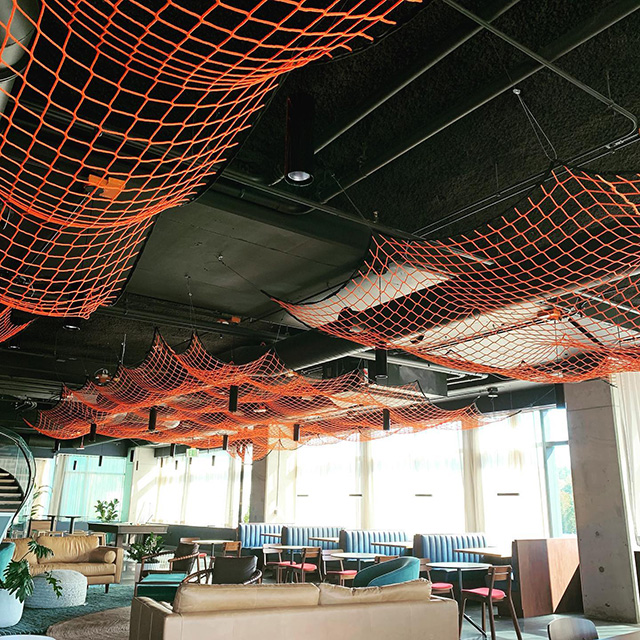 Netted Google Ceiling