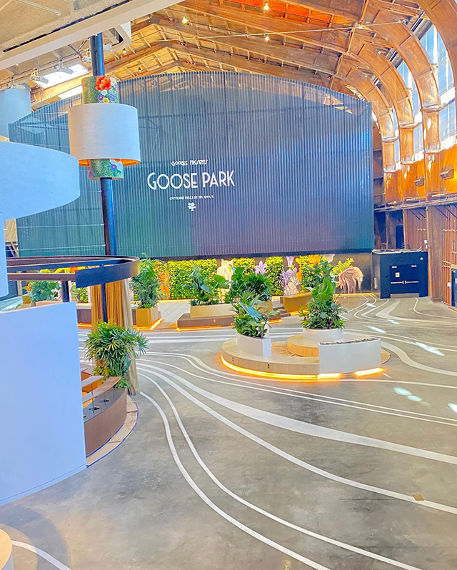 Google Goose Park Office Photos & Videos