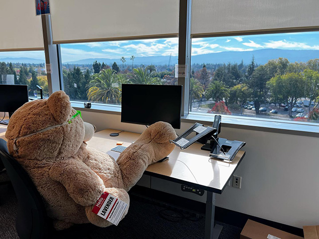 Teddy Bear Hardly Working At Google