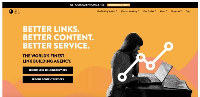 Link Building Services, Page One Power